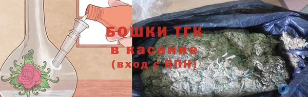 гашик Касимов
