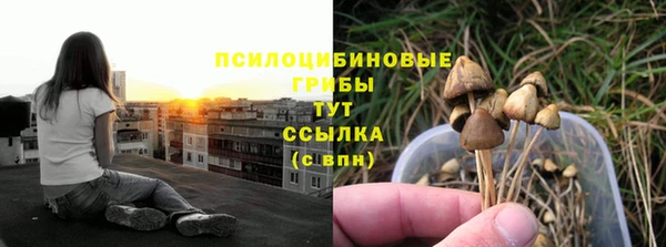 прущая мука Каменск-Шахтинский