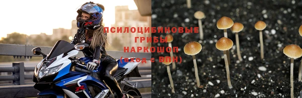 скорость Каменногорск