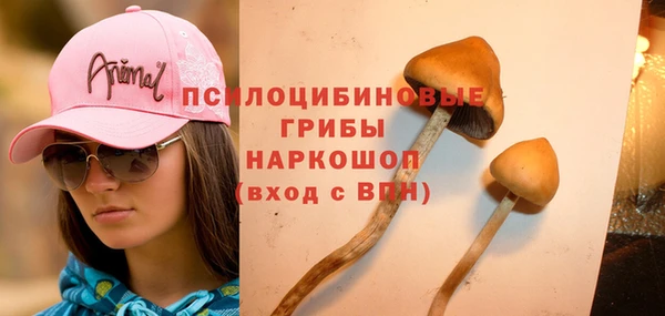 скорость Каменногорск