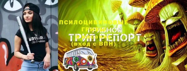 а пвп мука Каменка