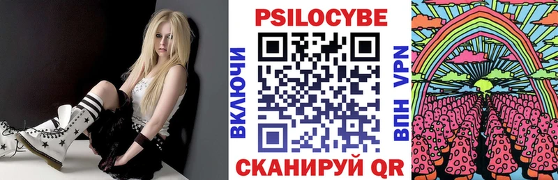Галлюциногенные грибы Magic Shrooms  Купить где  Горняк 